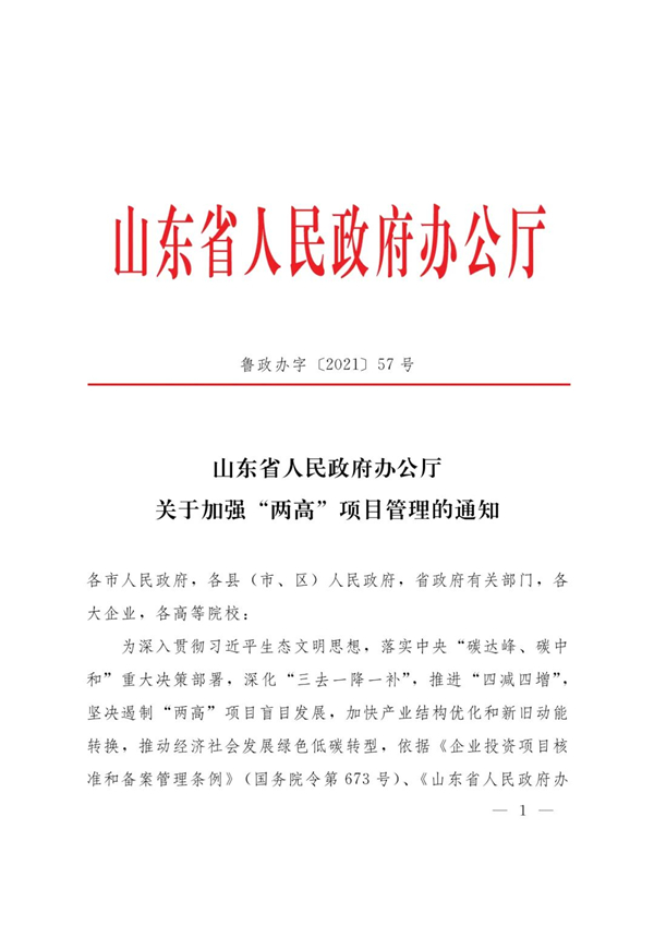 山東省人民政府辦公廳關(guān)于加強“兩高”項目管理的通知（附兩高項目管理目錄）