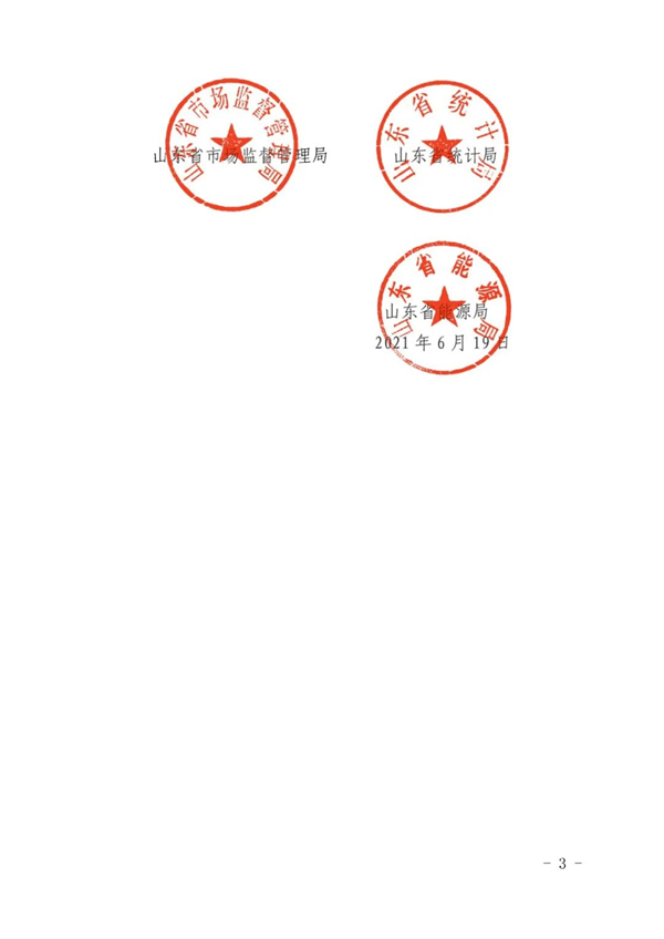 山東省人民政府辦公廳關(guān)于加強“兩高”項目管理的通知（附兩高項目管理目錄）